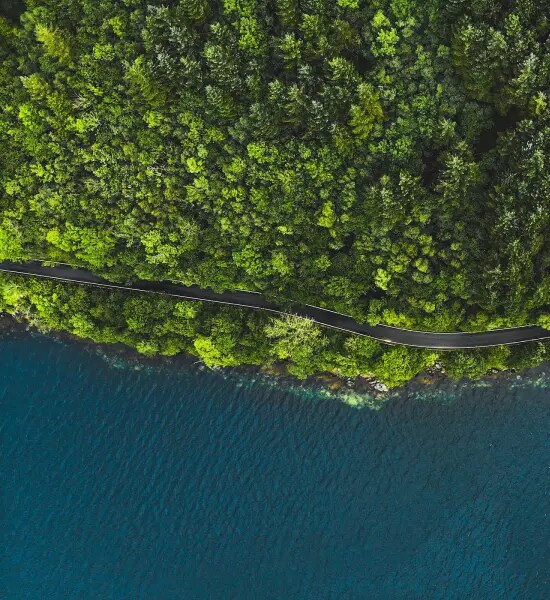 Noticias e historias